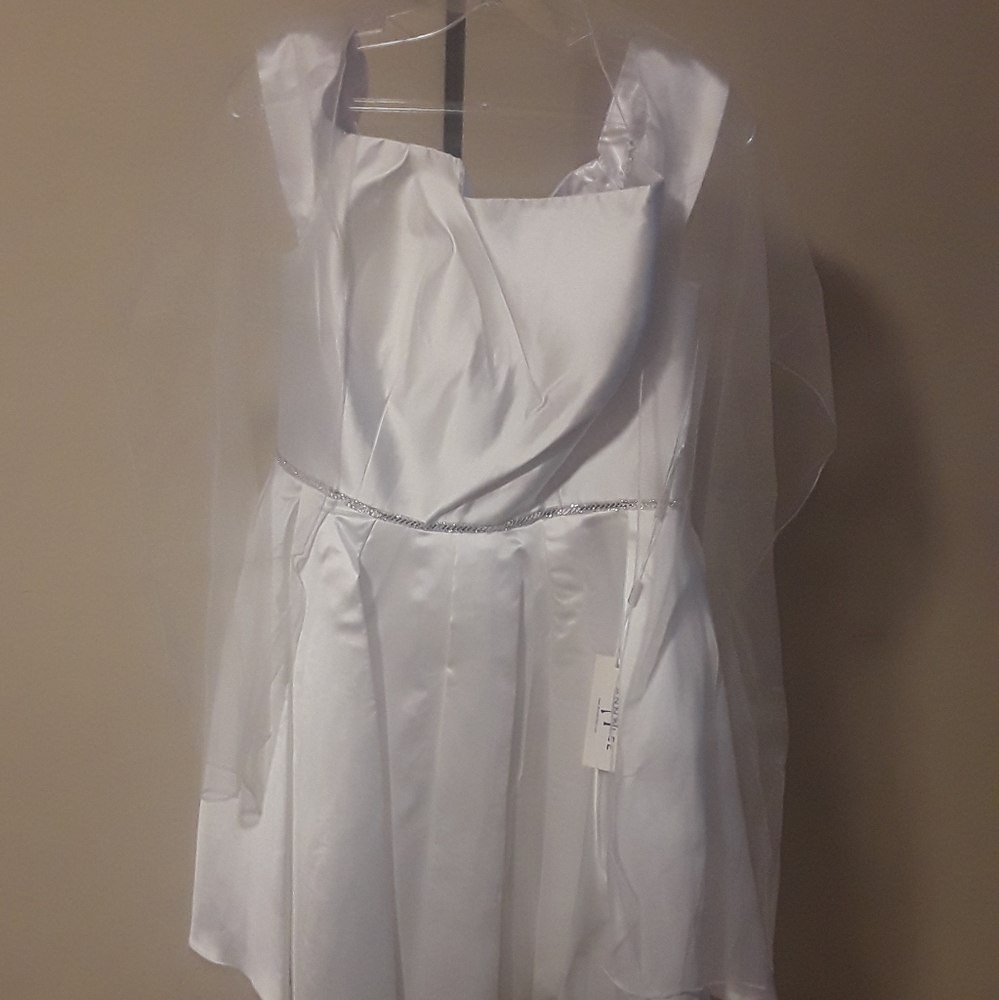 DRESS - Picture 6 of 6